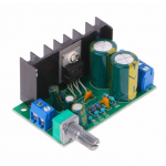 HS0798 Amplifier Board TDA2050 Mono Audio Power Amplifier Board Module 