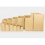 HS1500 Express package box 100pcs/pack