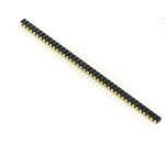 HS2591 2.54mm Round Straight 40Pin male