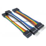 HS4806 20cm XH2.54mm dupont wire double ended 2X2P -2x20P