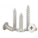 HS4841 Self tapping Screw  M3 *6 100pcs