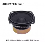 HS4996 8Ω 30W 105mm Speaker
