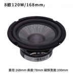 HS4999 8Ω 30W 168mm Speaker