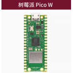 HS5202 Raspberry Pi Pico W