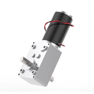 HS1512 5840-31ZY short Output 2 Axis Worm Geared Motor13mm 12V/24V HS1512 5840-31ZY short Output 2 Axis Worm Geared Motor13mm 12V/24V