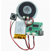 HS8138 DIY Recording Card Music Cover MP3 Download Voice Module 
