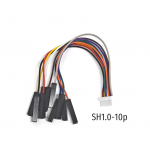 HS8522 10cm SH1.0 TO Dupont Cable 10P for STlink HS8522 10cm SH1.0 TO Dupont Cable 10P for STlink