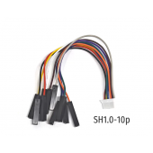 HS8522 10cm SH1.0 TO Dupont Cable 10P for STlink